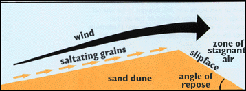 20110306-USGS sandmove on dune.gif